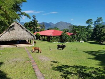 021 Centro de rehabilitación de adicciones Chinácota Norte de Santander
