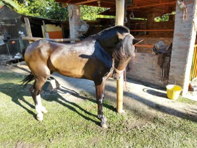 021 Centro de rehabilitación de adicciones Chinácota Norte de Santander
