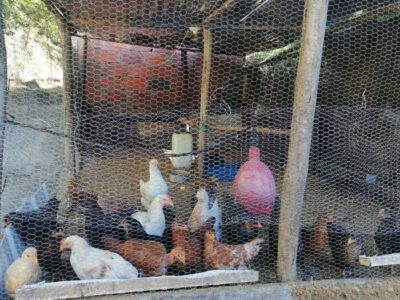 041 Centro de rehabilitación de adicciones Bucaramanga Santander