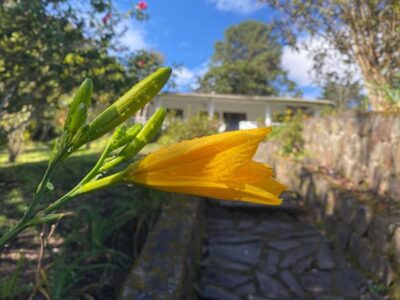 103 Centro de rehabilitación de adicciones Chachagüí Nariño