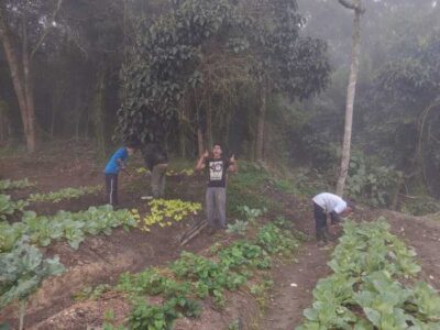 066 Centro de rehabilitación de adicciones Medellín Antioquia