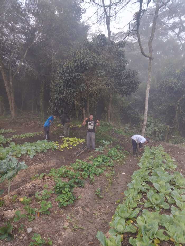 066 Centro de rehabilitación de adicciones Medellín Antioquia