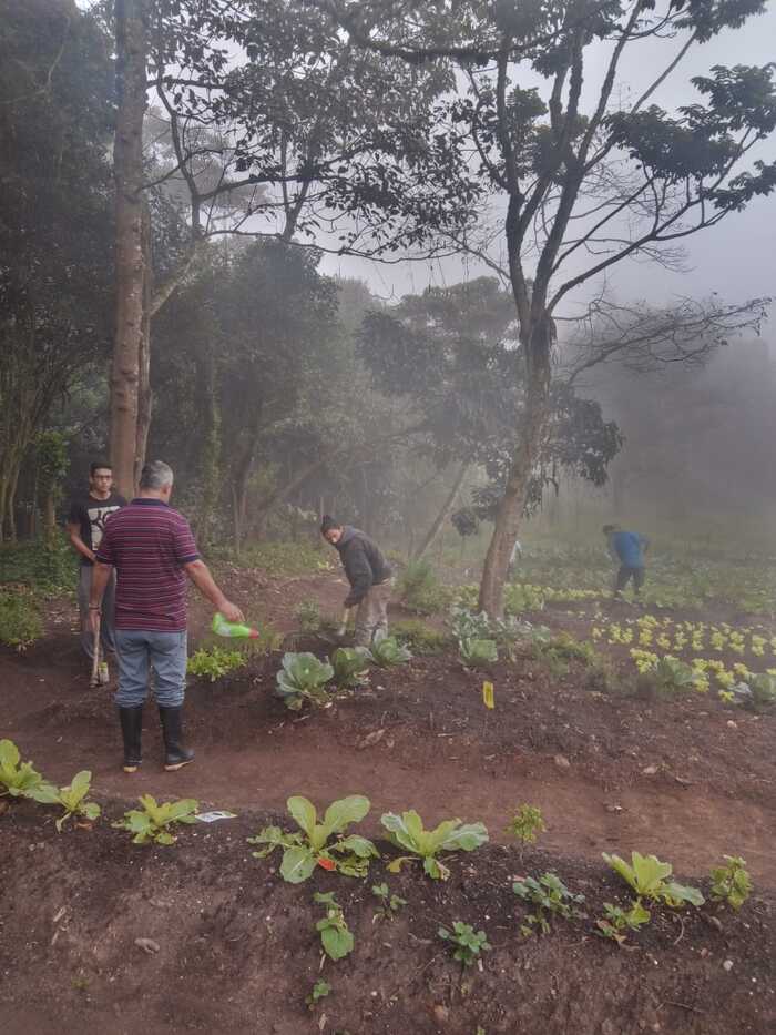 066 Centro de rehabilitación de adicciones Medellín Antioquia