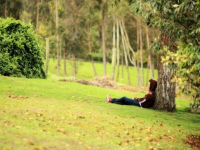 039 Centro de rehabilitación de adicciones Bogotá Cundinamarca