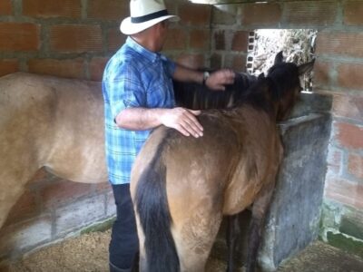 035 Centro de rehabilitación de adicciones Medellín Antioquia
