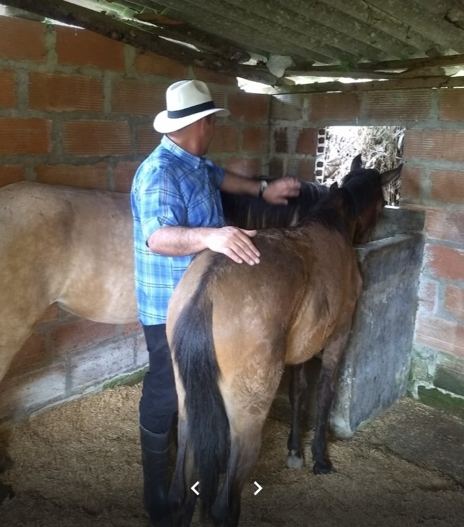 035 Centro de rehabilitación de adicciones Medellín Antioquia