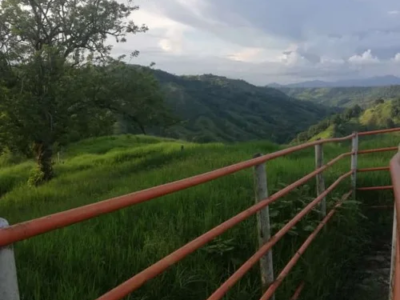 002 Centro de rehabilitación de adicciones Quimbaya Quindío