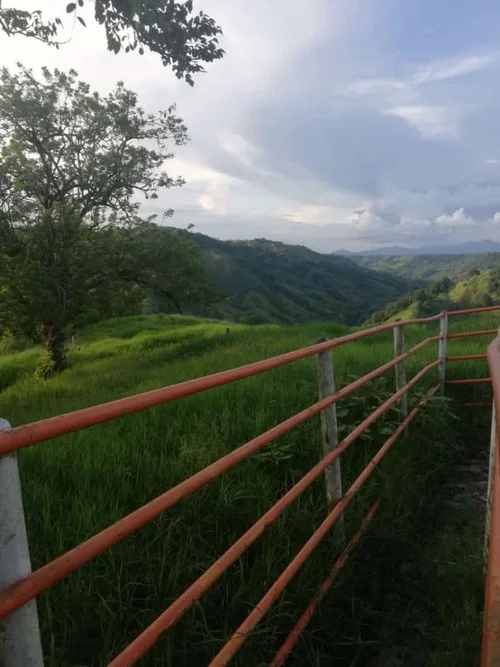 002 Centro de rehabilitación de adicciones Quimbaya Quindío