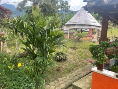 001 Centro de rehabilitación de adicciones Medellín Antioquia