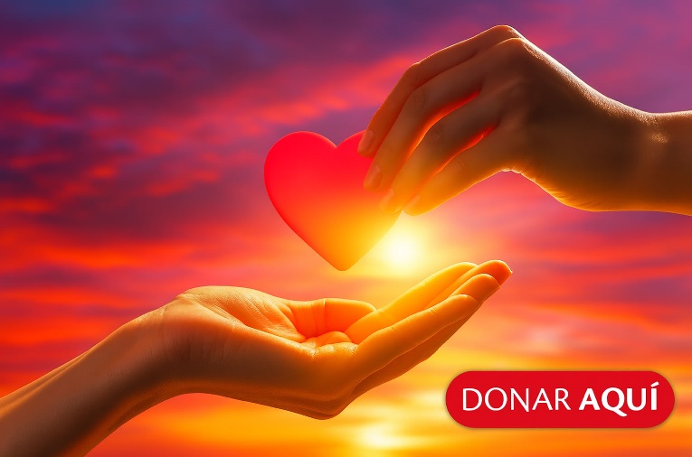 donaciones fundación hogares bethel